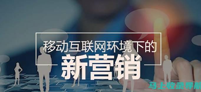 SEO新手入门指南：关键词优化、内容策略等全面解析